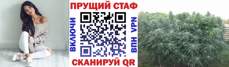 Купить наркотик Ленинградская ГАШ  mega как зайти  A-PVP  МАРИХУАНА  Меф мяу мяу  Cocaine  Псилоцибиновые грибы 