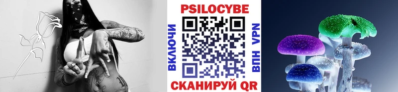 Псилоцибиновые грибы мицелий  mega как войти  Ленинградская 