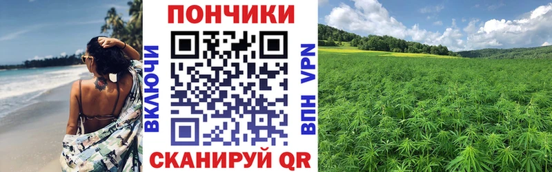 продажа наркотиков  Ленинградская  МАРИХУАНА план 